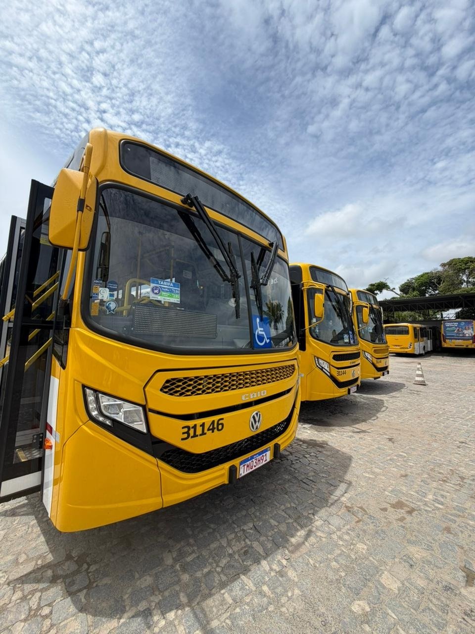 Bosque das Bromélias recebe novos ônibus com ar-condicionado a partir deste domingo (01)