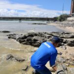 São Tomé de Paripe: Salvador estende emergência por mais 90 dias