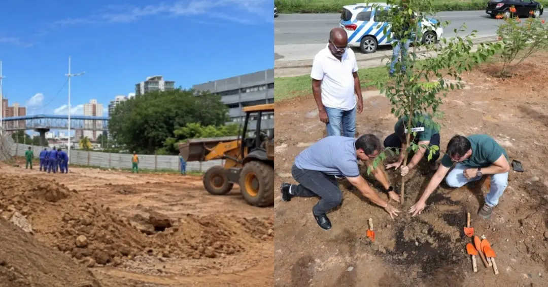 Salvador terá nova microfloresta urbana com 3,6 mil mudas em frente ao Shopping da Bahia; entenda