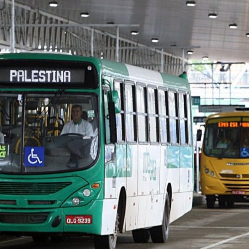 Projetos na Câmara de Salvador propõem transporte gratuito: Auxílio Mobilidade e Tarifa Zero