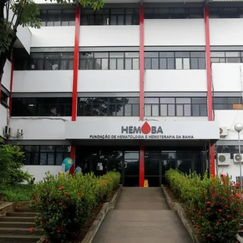 Hemoba realiza Semana do Doador e incentiva doação de sangue na Bahia
