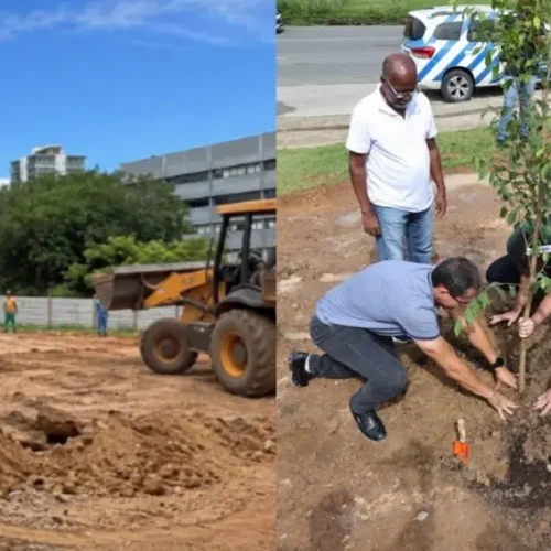 Salvador terá nova microfloresta urbana com 3,6 mil mudas em frente ao Shopping da Bahia; entenda