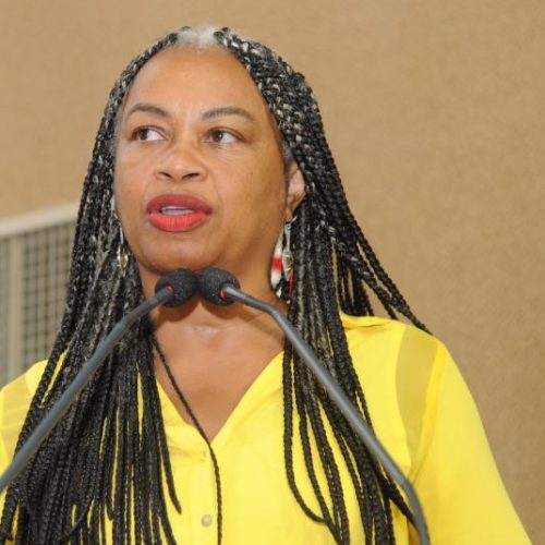 Olívia Santana é hospitalizada às pressas e preocupa aliados; deputada já recebeu alta