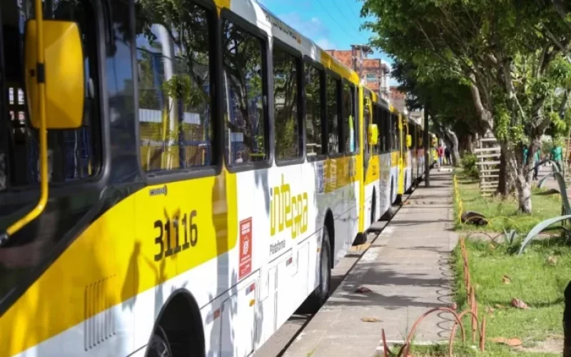 Prefeitura de Salvador aumenta viagens e reduz tempo de espera em 16 linhas de ônibus