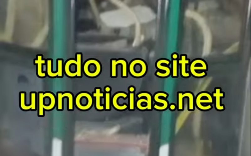 ATUALIZAÇÃO do Motorista e do Cobrador do acidente da Boca da Mata, Assista novos videos